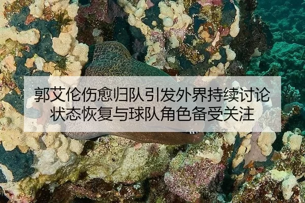郭艾伦伤愈归队引发外界持续讨论 状态恢复与球队角色备受关注