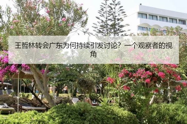 wang-zhe-lin-zhuan-hui-guang-dong-wei-he-chi-xu-yin-fa-tao-lun-yi-ge-guan-cha-zhe-de-shi-jiao-2-322.jpg